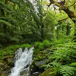 Hotel Convento De 5*