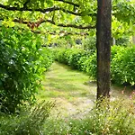 Convento De Viana do Castelo