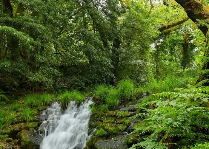 מלון Convento De 5*