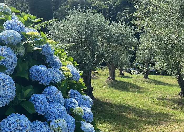 Convento De ויאנה דו קסטלו