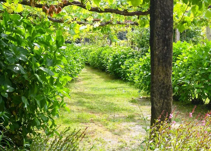 Convento De ויאנה דו קסטלו