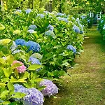 Convento De 5* ビアナドカステロ