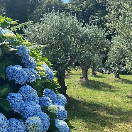 Convento De Viana do Castelo