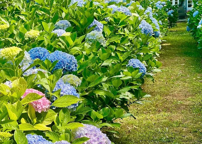 Convento De 5* Viana do Castelo